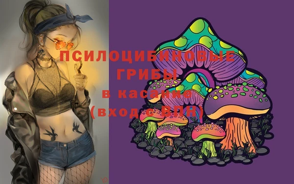 гашиш Арсеньев
