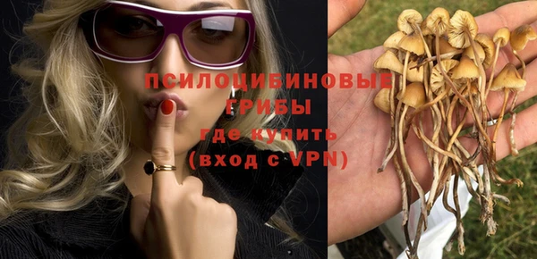 гашиш Арсеньев