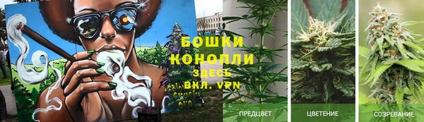 гашиш Арсеньев